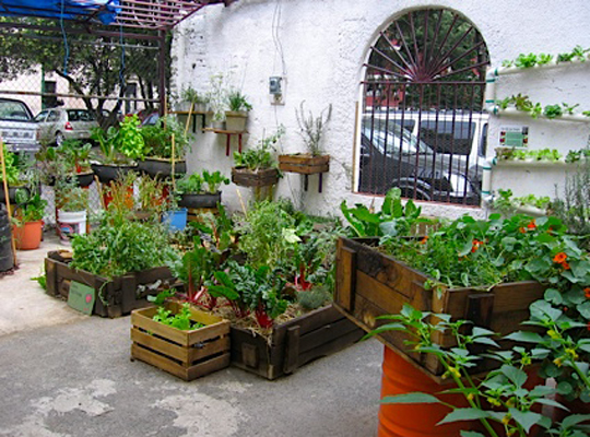 урбанистический сад