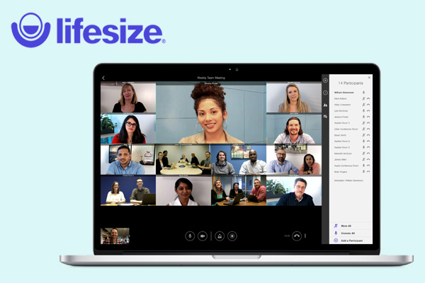организовать групповую конференцию в Lifesize